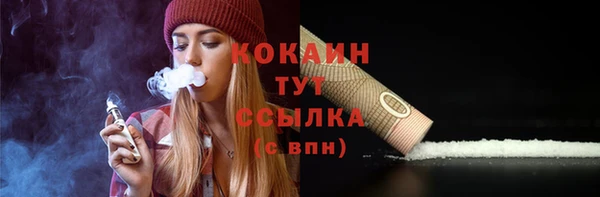 дживик Аркадак