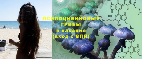дживик Аркадак
